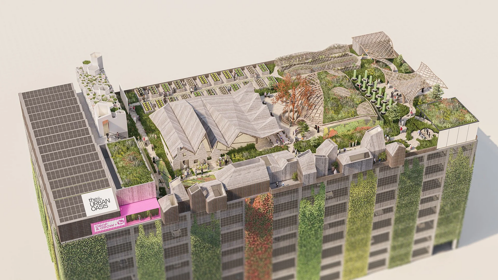 Case Study: The Urban Oasis