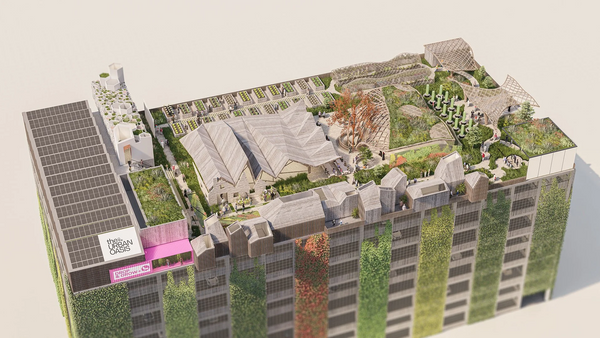 Case Study: The Urban Oasis
